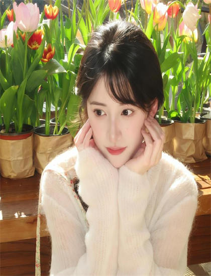 深度探索：《汤姆和哈克的科学冒险》的艺术魅力与文化价值——一次全面的艺术分析